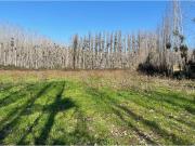 Venta de Terreno Agrícola Coltauco » VI Región