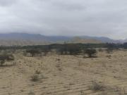 Venta De Terreno Agrícola De 29 Has En Vilcahuaura Huaura