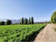 Venta de terreno agrícola de 4,5 hectáreas, en Catemu