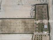 VENTA DE TERRENO AGRICOLA EN ASIA DE 6,456M2 CERCA A LA... VENTA DE TERRENO AGRICOLA EN ASIA DE 6,456M2 CERCA A LA...