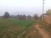 Venta De Terreno Agricola En Caudivilla Carabayllo