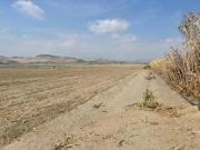 Venta de terreno Agricola en Ica