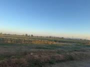 VENTA DE TERRENO AGRÍCOLA EX HACIENDA SANTA RITA CELAYA