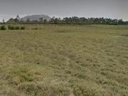 Venta De Terreno Agricola Km 87.5 Bujama Y Salitre