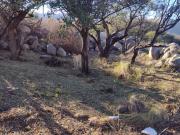 VENTA DE TERRENO BARRIO CERRADO EL PILAR