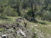 Venta de Terreno Campestre en Arteaga en Los Lirios