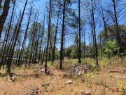 VENTA de terreno Campestre mas de 1000 m2, para cabaña...