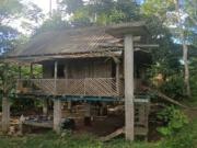 Venta de terreno, cantón Francisco de Orellana, Orellana