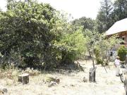 Venta de Terreno, Cerca de carretera a Ecatzingo,...