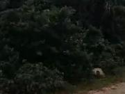 Venta de Terreno cerca de Playa Xpuha