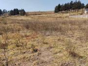 VENTA DE TERRENO CERCA DEL MERCADO DE PALMILLAS 500M2