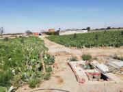 Venta de Terreno Comercial en La Joya