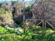 Venta de terreno con bosque nativo de 6,5 há, en Olmué