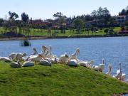 Venta de Terreno Cumbres del Lago Juriquilla Querétaro