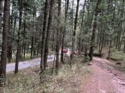 Venta de Terreno 40 hectáreas ideal ecoturismo en...