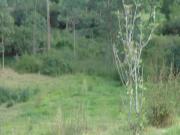 Venta de terreno de 12,500 m2 en San Rafael Valle de los...