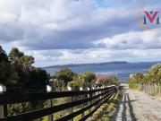 VENTA DE TERRENO DE 15 HA. EN CAULÍN ALTO, COMUNA DE ANCUD