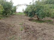 Venta de terreno de 1,465m2 en el sector La Carolina...