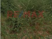 Venta De Terreno De 3 Hectáreas En Casma