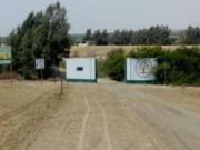 Venta de terreno de 49.43 ha en San Clemente, Pisco