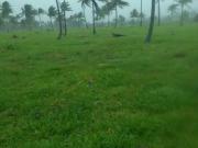 Venta de Terreno de 63 hectáreas en Ejido El Colorado,...