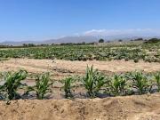 Venta de terreno en Asia Venta de terreno en Asia