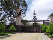 Venta de Terreno en Asia D 20