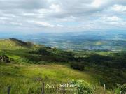 VENTA DE TERRENO EN AUCALOMA – TARAPOTO | “VILLA BELLAVISTA”