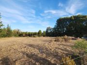 VENTA DE TERRENO EN BARRIO SAN CARLOS