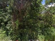 VENTA DE TERRENO EN CANCÚN