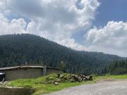 Venta de terreno en Cañada de Alferez, EDOMEX$...