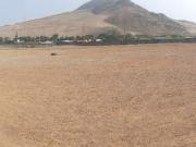 VENTA DE TERRENO EN CHANCAY, 2 HAS, HABILITADO PARA...