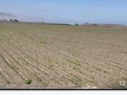 VENTA DE TERRENO EN CHANCAY