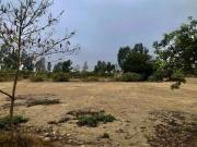 Venta de Terreno en Chincha Cond. Rio Chico 2000m2 Agua...