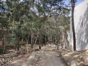 Venta de terreno en Condado de Sayavedra
