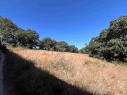 VENTA DE TERRENO EN CONDADO De SAYAVEDRA.$9.500,000.00