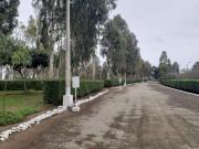 Venta de terreno en condominio El Olivar