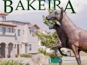 VENTA DE TERRENO EN CONJUNTO BAKEIRA EN FRACCIONAMIENTO...