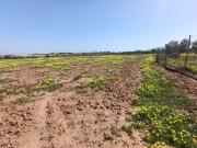 Venta de terreno en Cuesta Blanca