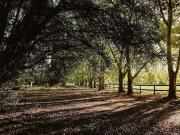 Venta de terreno en el barrio Almahue, Pilar