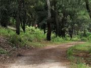 Venta de Terreno en el Bosque de la Primavera En Jalisco...