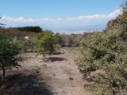 Venta de Terreno en el Fraccionamiento Tamoanchan Morelos