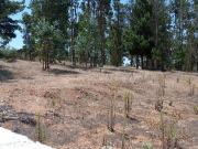 Venta de Terreno en El Quisco, Condominio Huallilemu