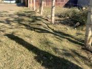 Venta de terreno en esquina colonia estado de oaxaca