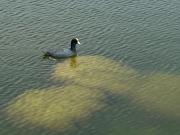 Venta de Terreno en Exclusivo Condominio Residencial...