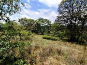 VENTA DE TERRENO EN FRACC. CAMPESTRE LOTE 96, VILLA DEL...