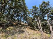 VENTA DE TERRENO EN FRACC. CAMPESTRE LT. 87 MZ 11, VILLA...