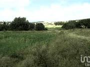 Venta de Terreno en Ixtacuixtla Tlaxcala 5.9 Hectáreas