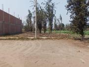 VENTA DE TERRENO EN LA ARBOLEDA 1ERA ETAPA CARABAYLLO
