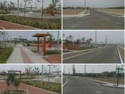 Venta De Terreno En La Planicie De Cañete Iii Etapa